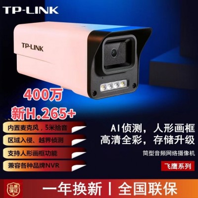 TP-LINK 400万网络监控摄像头筒型枪型IPC544E /P-W红外双光全彩